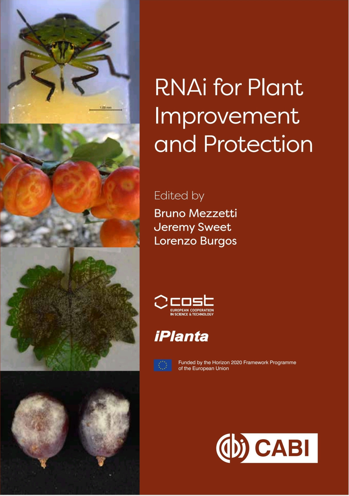 Rnai For Plant Improvement And Protection Bruno Mezzetti J Eremy Sweet Lorenzo Burgos