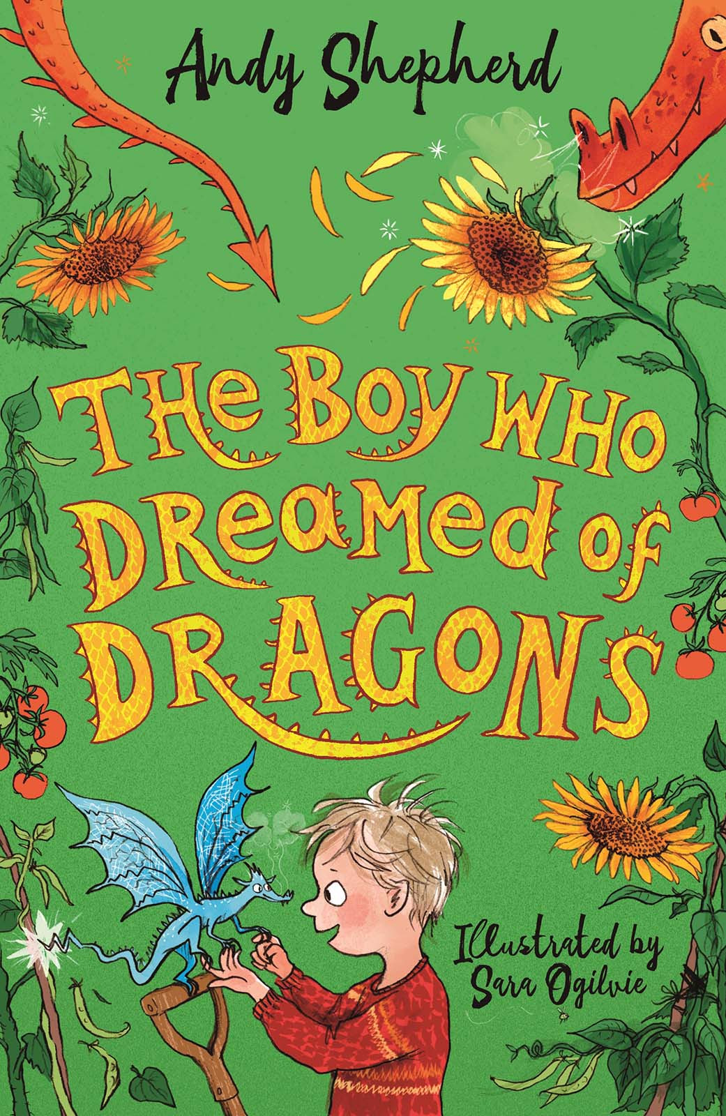 The Boy Who Dreamed Of Dragons Andy Shepherd