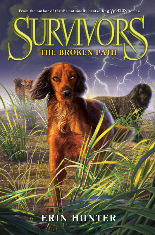 The Broken Path Erin Hunter