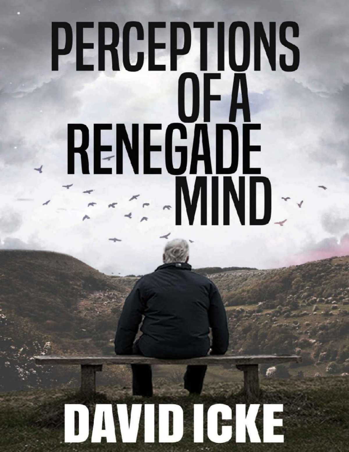 Perceptions Of A Renegade Mind David Icke