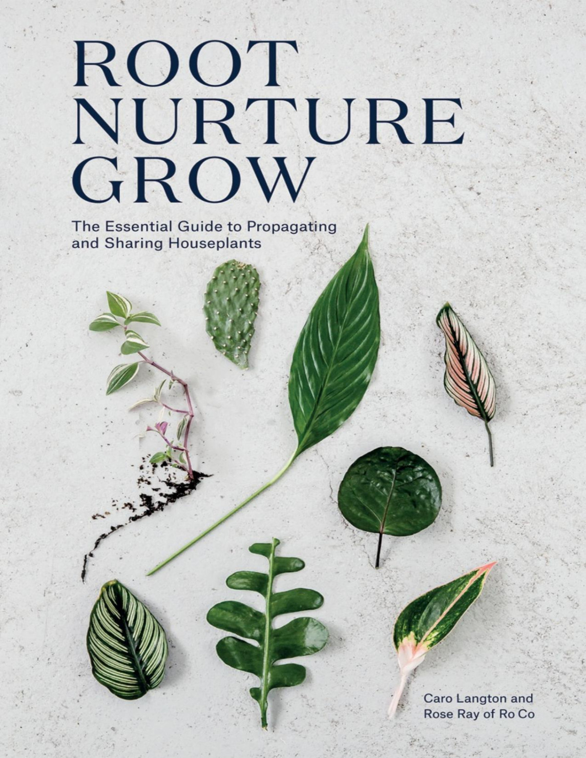 Root Nurture Grow The Essential Guide To Propagating And Sharing Houseplants Caro Langton