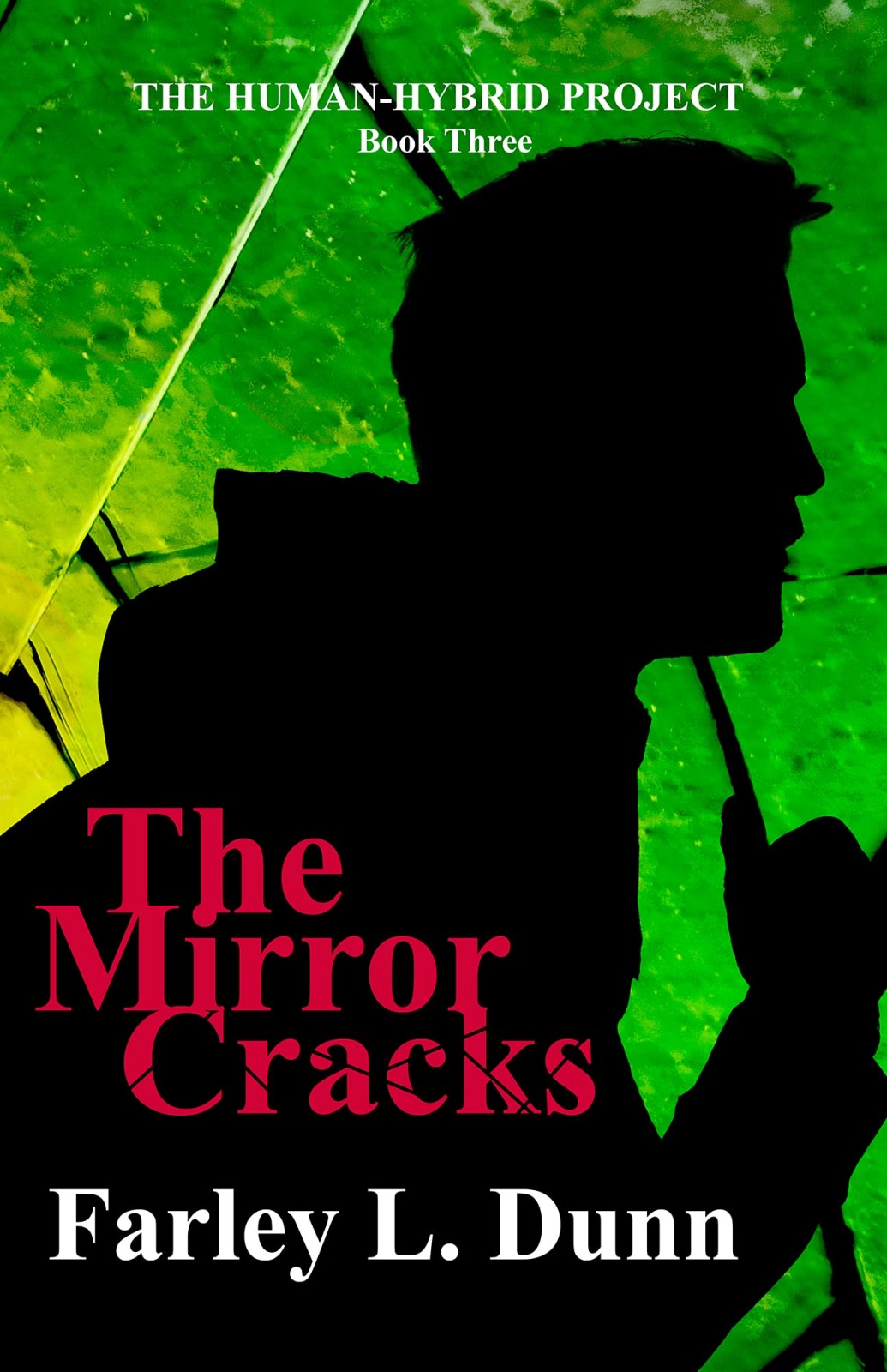 The Mirror Cracks The Humanhybrid Project Book 3 Farley Dunn