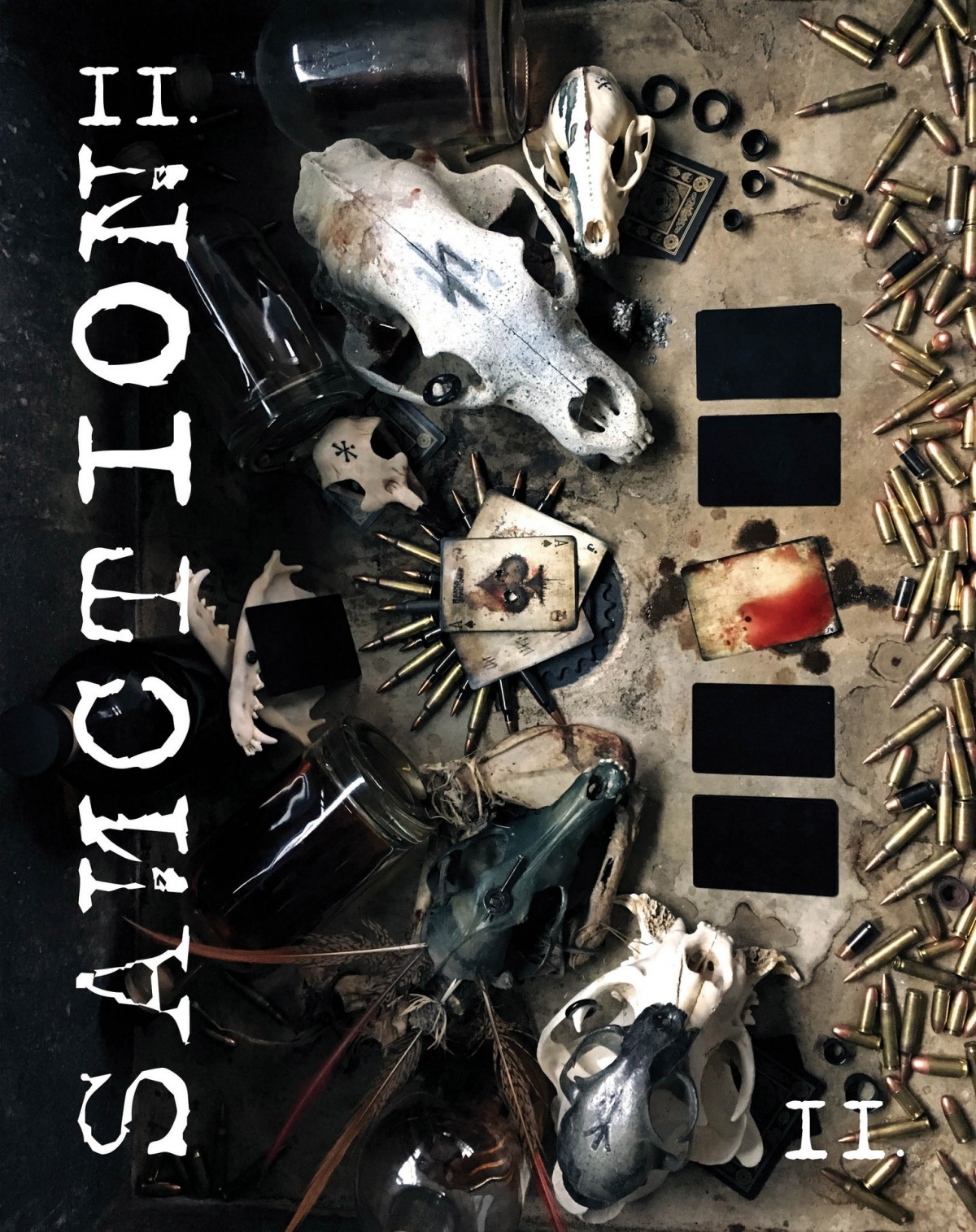 Sanction Ii Roman Mcclay