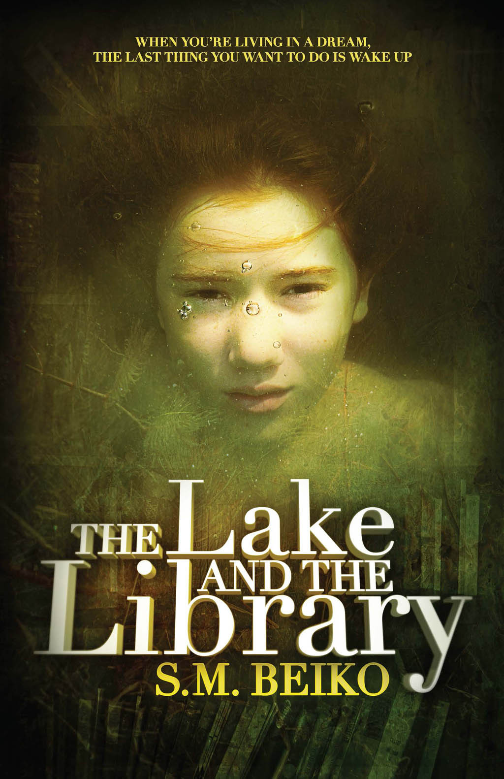 The Lake And The Library S M Beiko