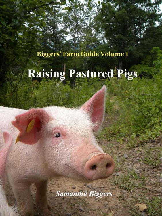 Raising Pastured Pigs A Guide To Rearing Butchering And Preserving Pastured Pork Samantha Biggers Matthew Biggers