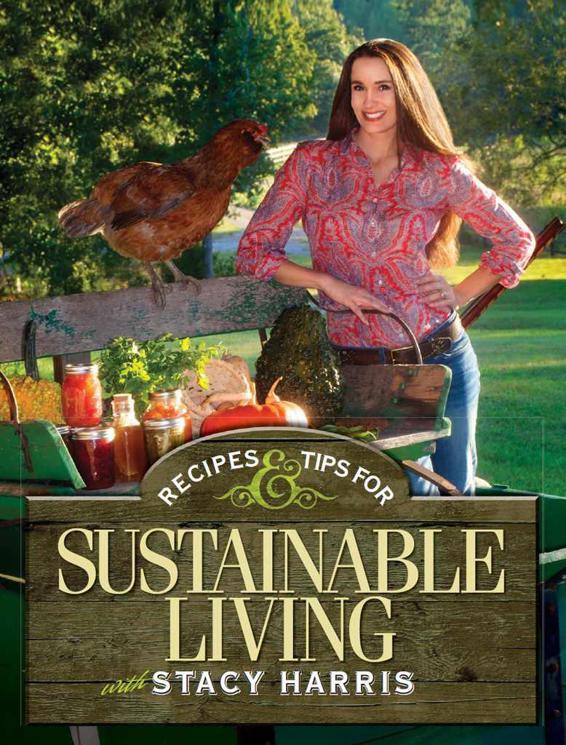 Recipes And Tips For Sustainable Living Stacy Harris