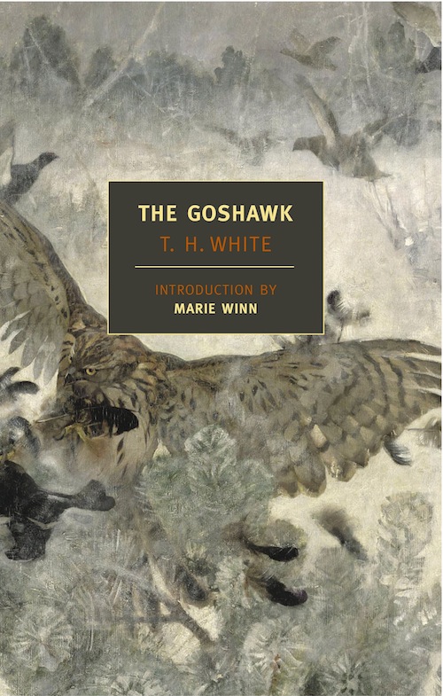 The Goshawk Th White