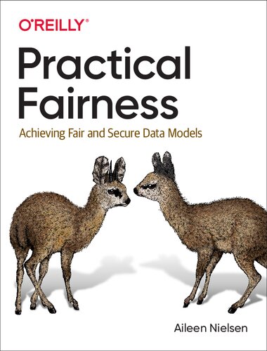 Practical Fairness Achieving Fair And Secure Data Models 1st Edition Aileen Nielsen