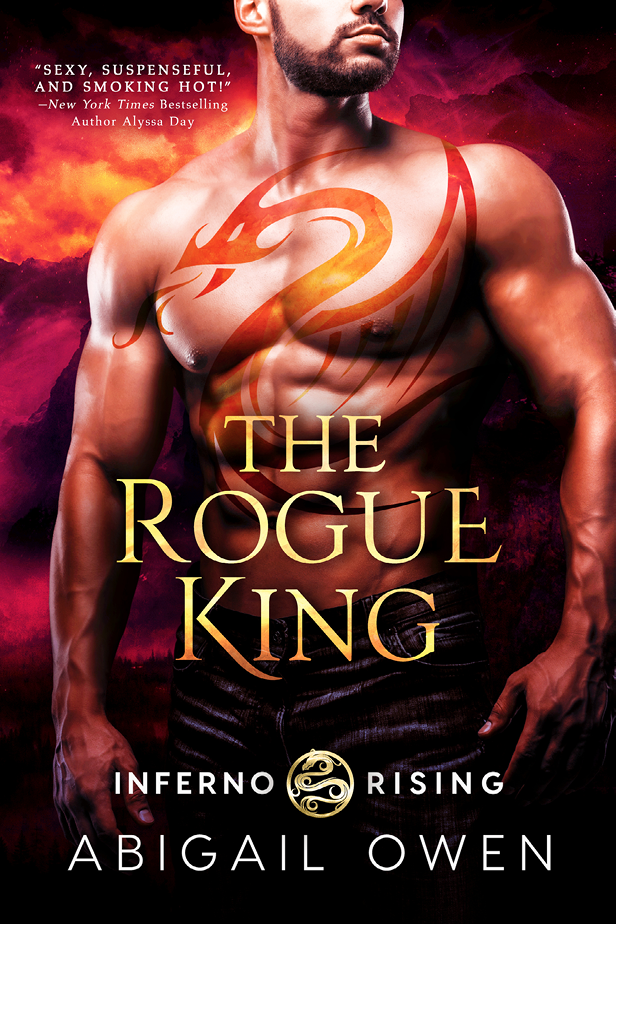 The Rogue King Abigail Owen