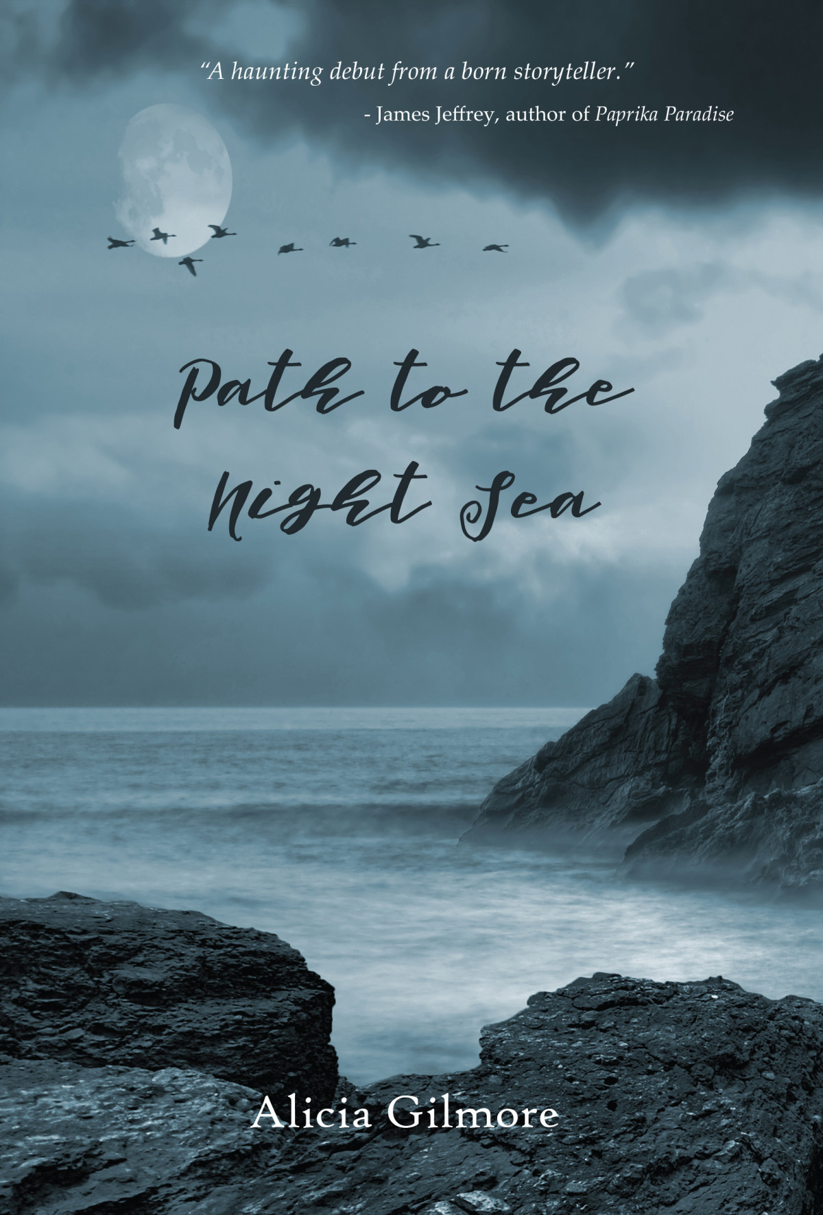 Path To The Night Sea Gilmore Alicia