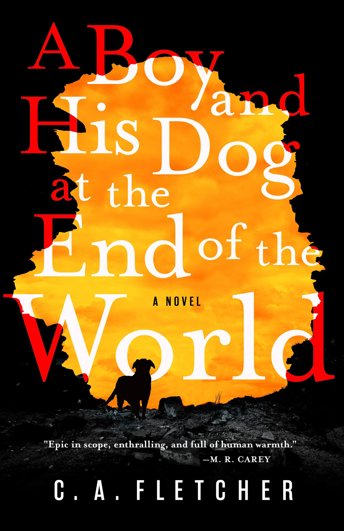 A Boy And His Dog At The End Of The World C A Fletcher