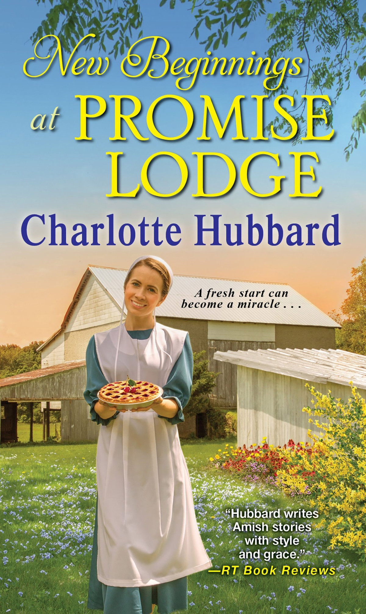 New Beginnings At Promise Lodge Charlotte Hubbard