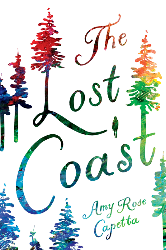 The Lost Coast Amy Rose Capetta