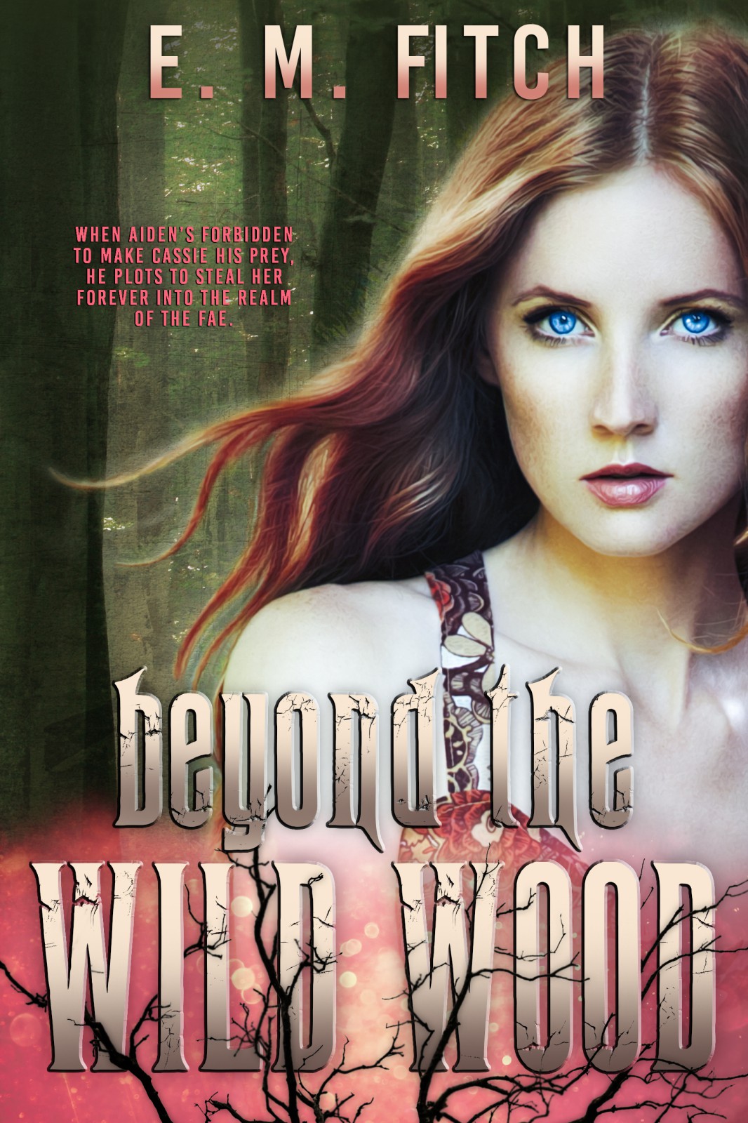Beyond The Wild Wood E M Fitch