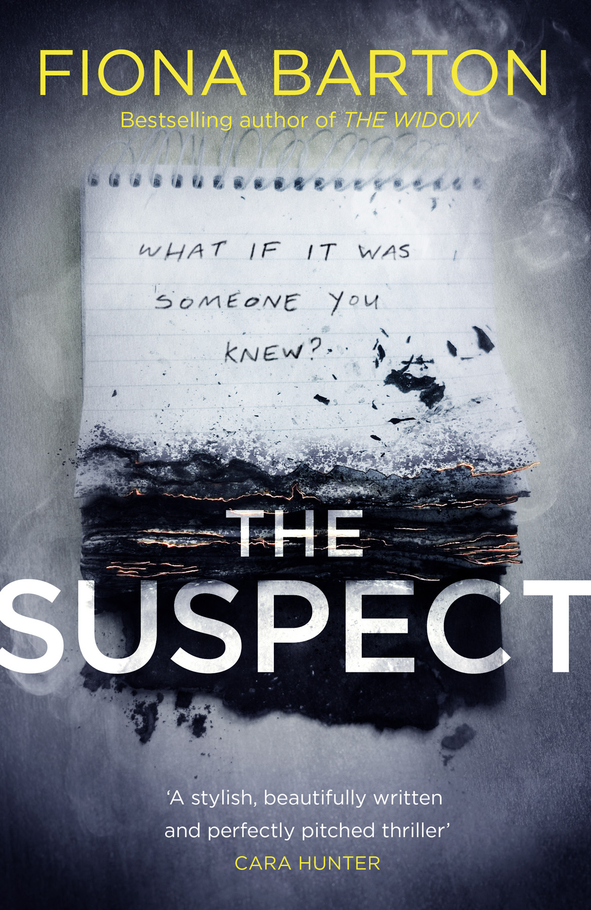 The Suspect Fiona Barton