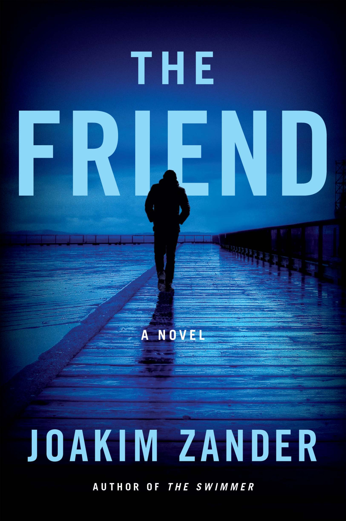 The Friend Joakim Zander