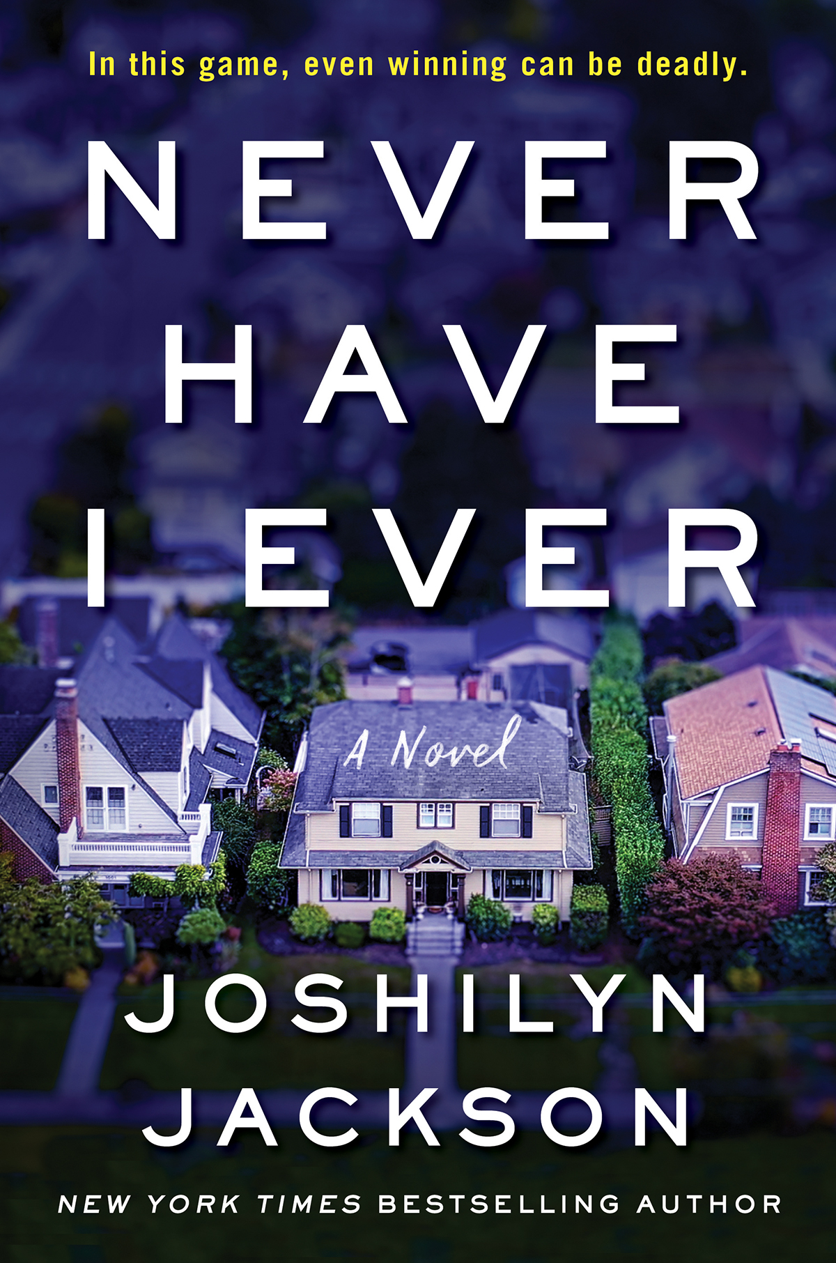 Never Have I Ever Joshilyn Jackson