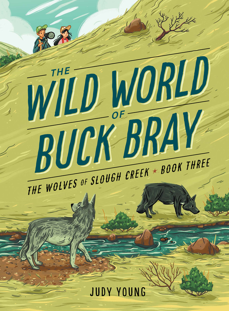 The Wolves Of Slough Creek Judy Young
