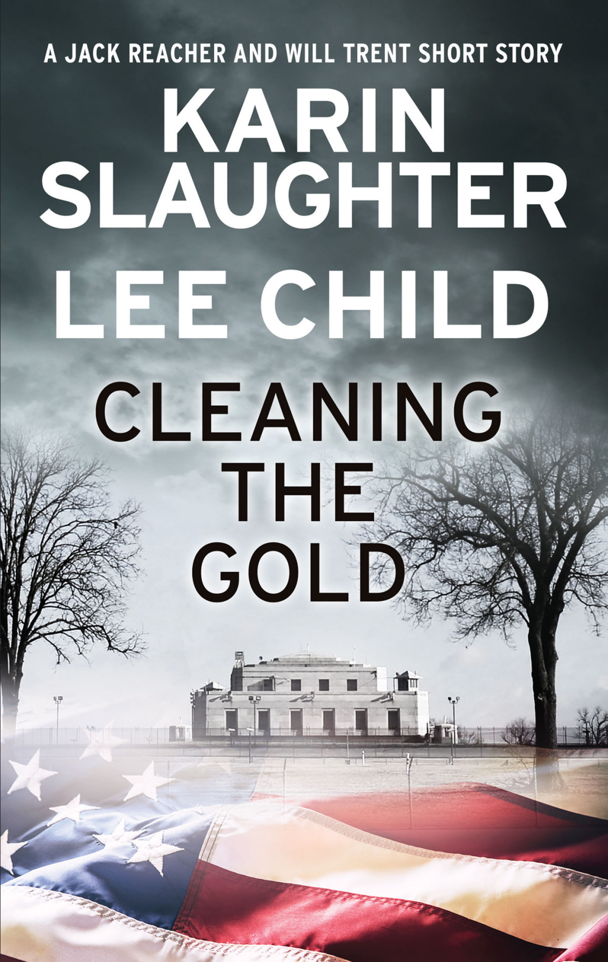 Cleaning The Gold Karin Slaughter