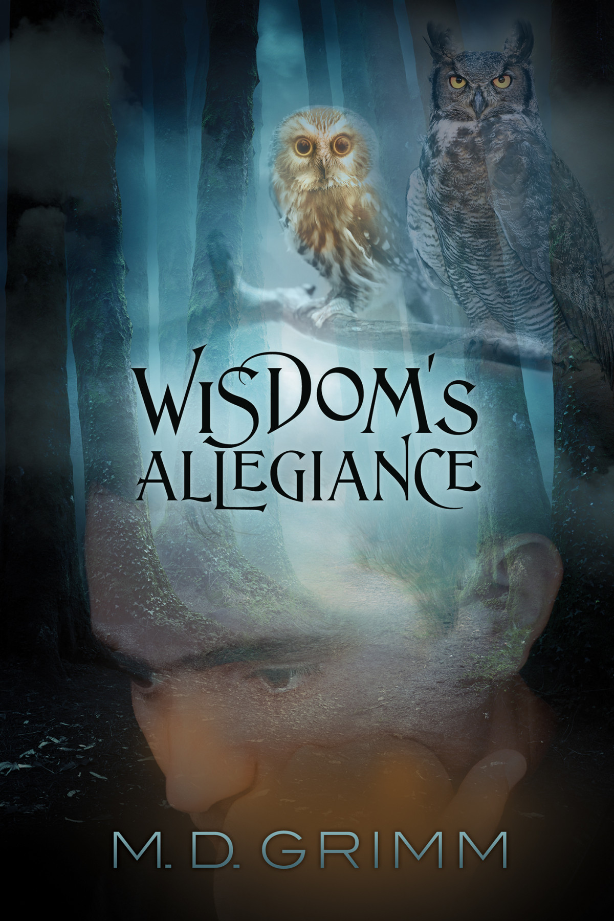 Wisdoms Allegiance Md Grimm