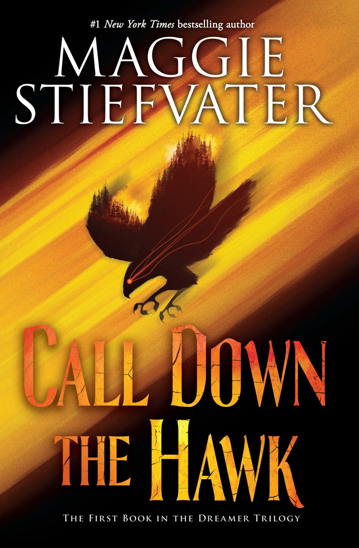 Call Down The Hawk Maggie Stiefvater