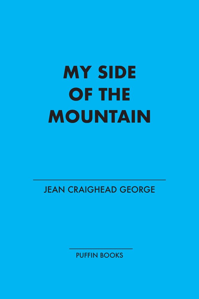 My Side Of The Mountain Jean Craighead George