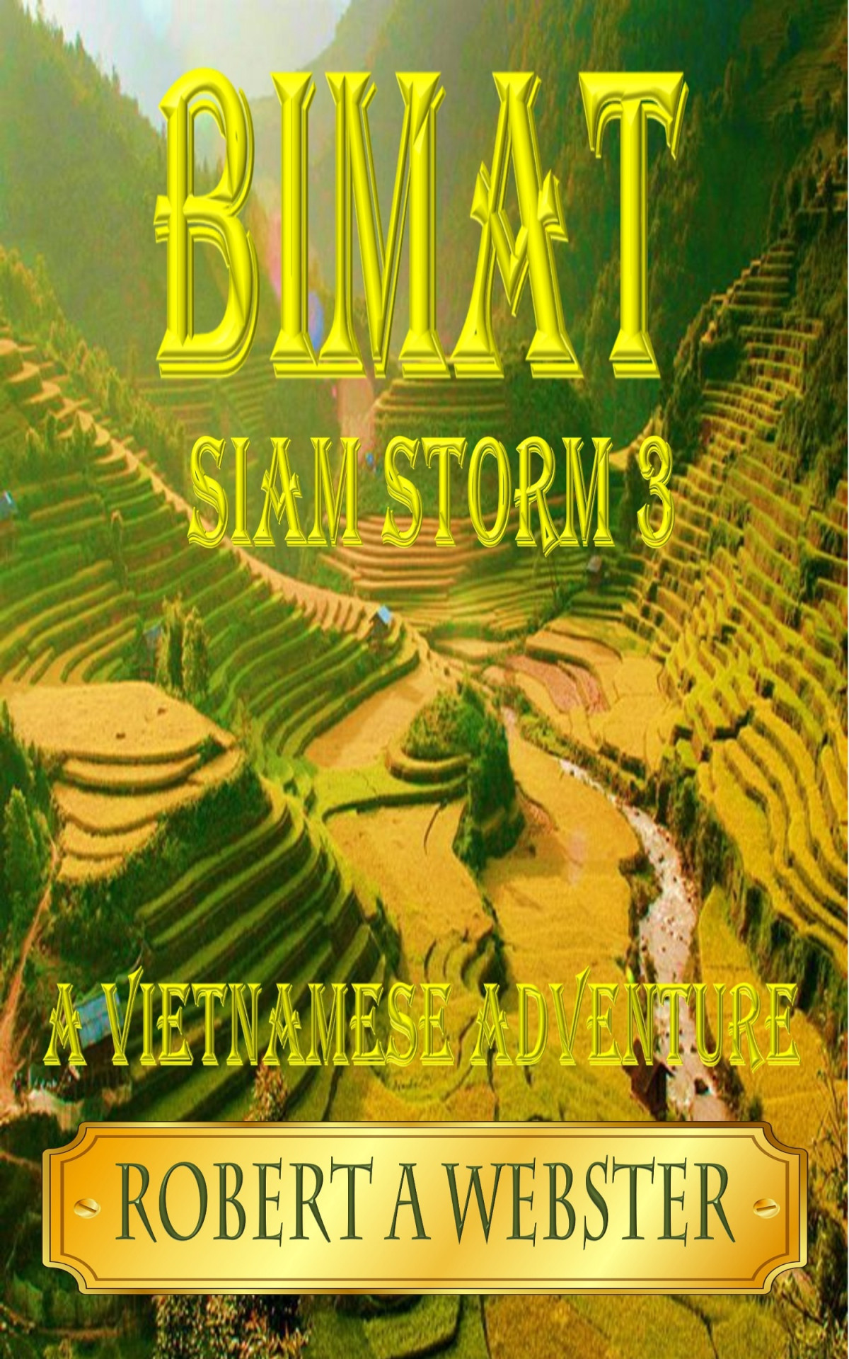 Bimata Vietnamese Adventure Robert A Webster