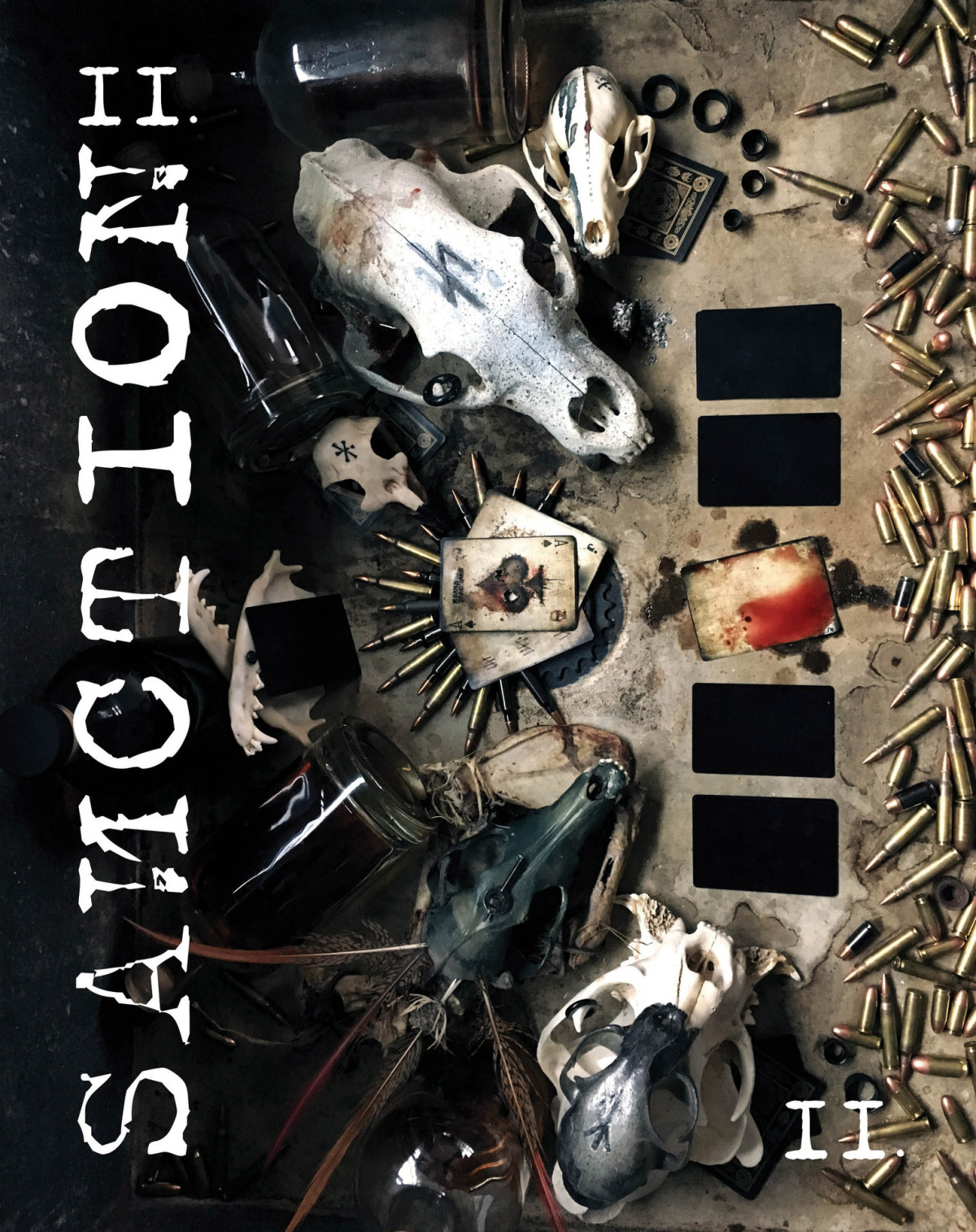 Sanction Ii Roman Mcclay