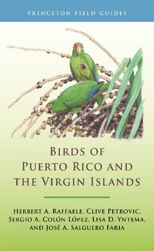 Birds Of Puerto Rico And The Virgin Islands Fully Revised And Updated Third Edition Princeton Field Guides 153 3rd Edition Birds Of The West Indies Herbert A Raffaele