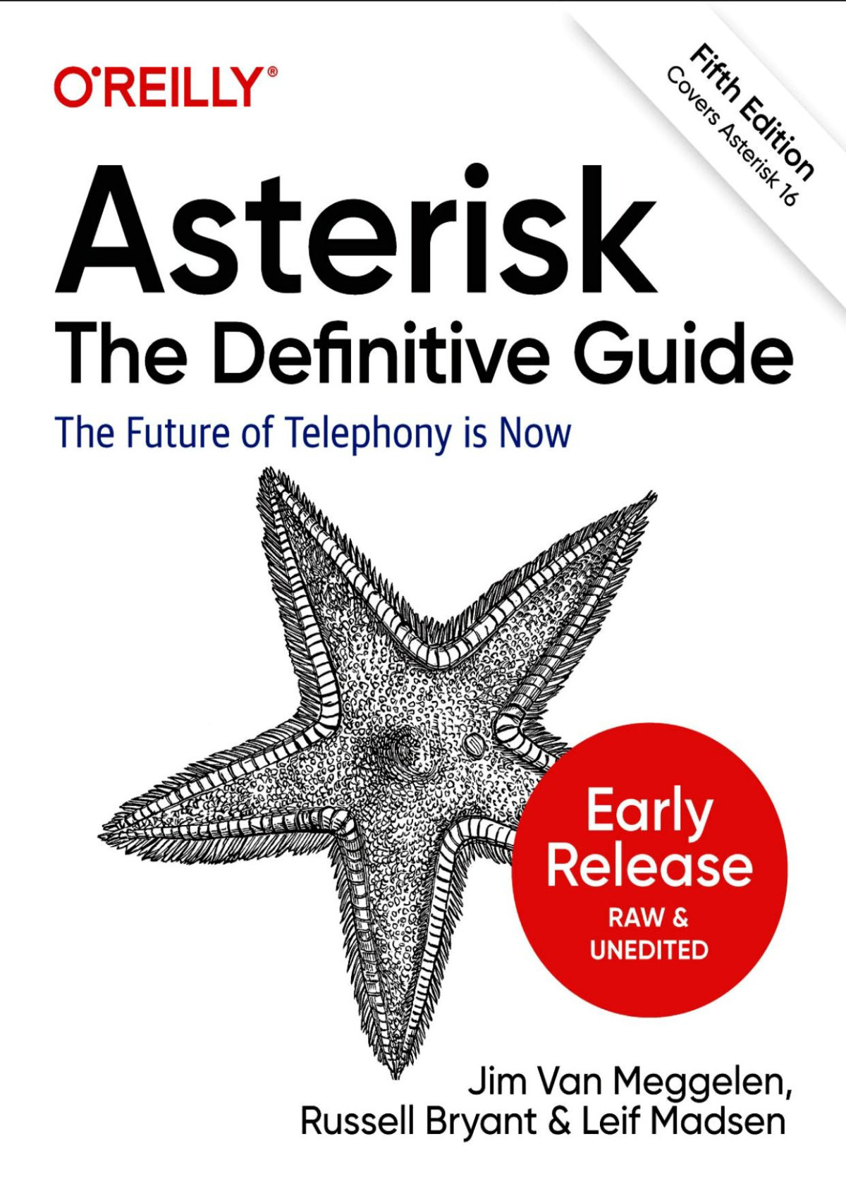 Asterisk The Definitive Guide 5th Edition Early Release 5th Edition Jim Van Meggelen