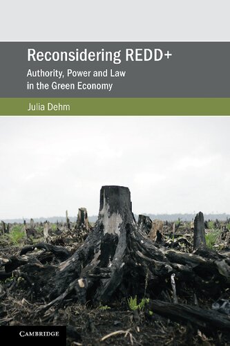 Reconsidering Redd Authority Power And Law In The Green Economy Julia Dehm