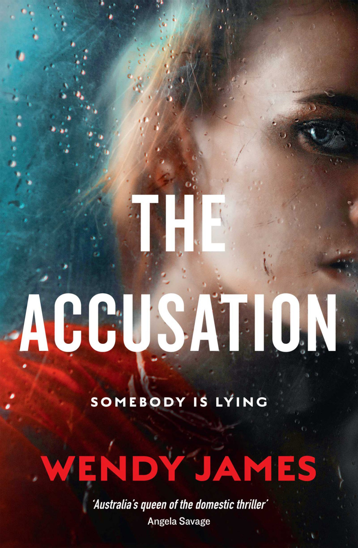 The Accusation Wendy James