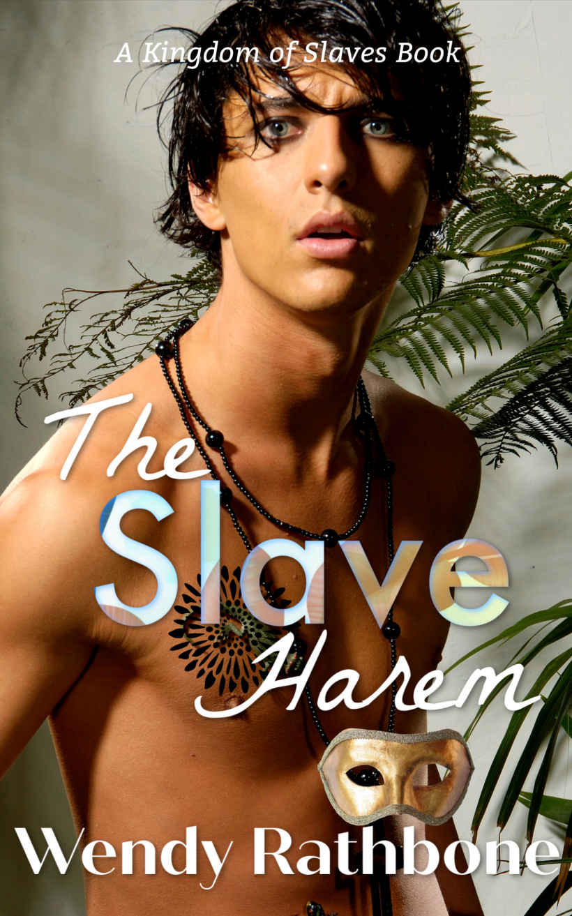 The Slave Harem A Kingdom Of Slaves Book Wendy Rathbone