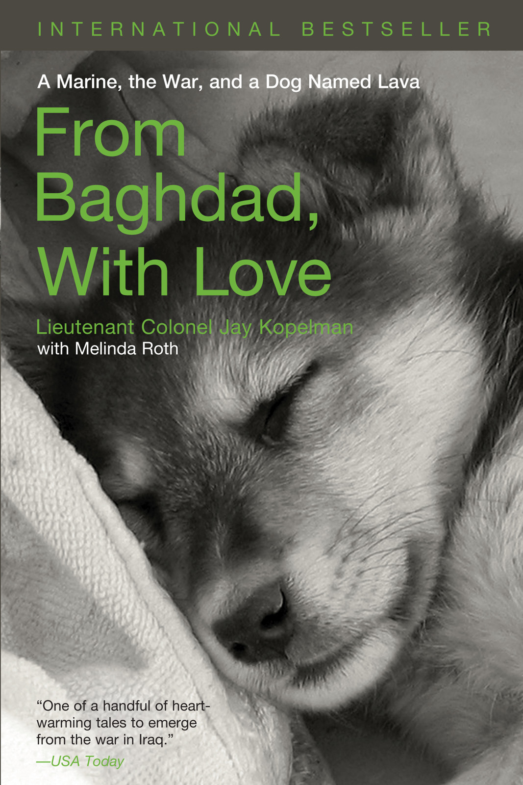 From Baghdad With Love Jay Kopelman