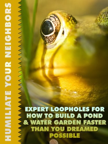 Expert Loopholes For How To Build A Pond And Water Garden Faster Than You Dreamed Possible Joshua Rothman Little Pearl