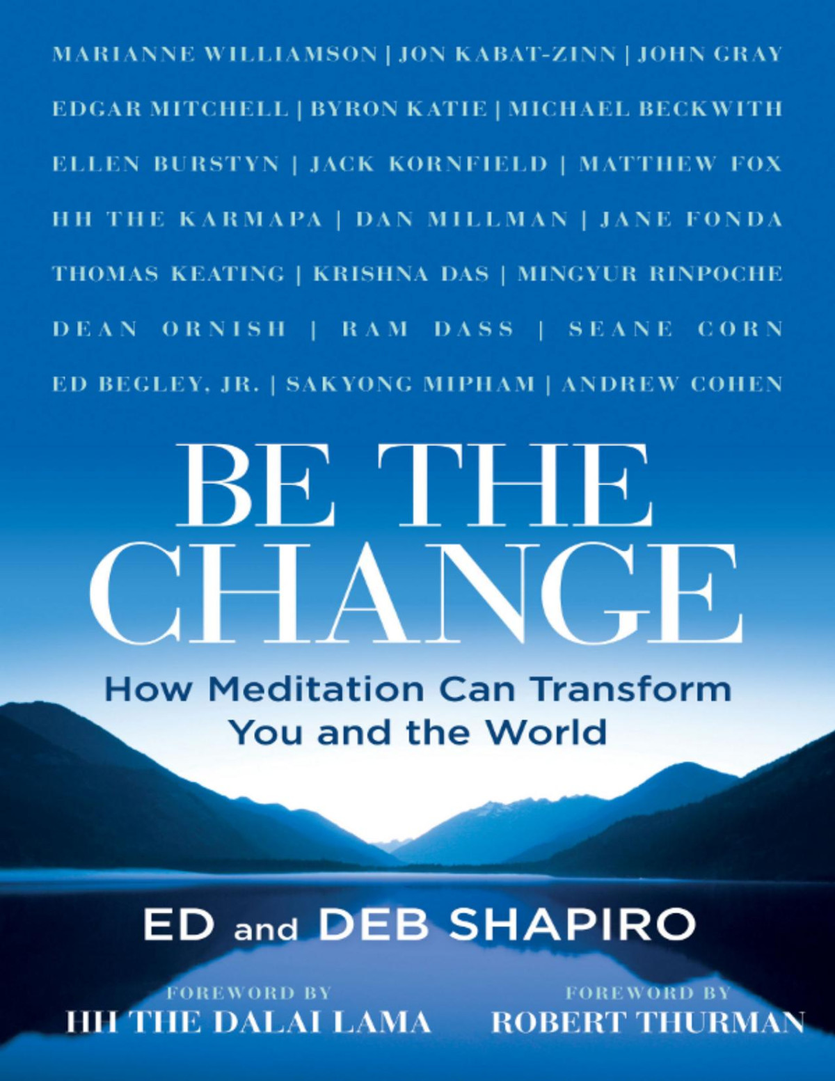 Be The Change Ed Shapiro