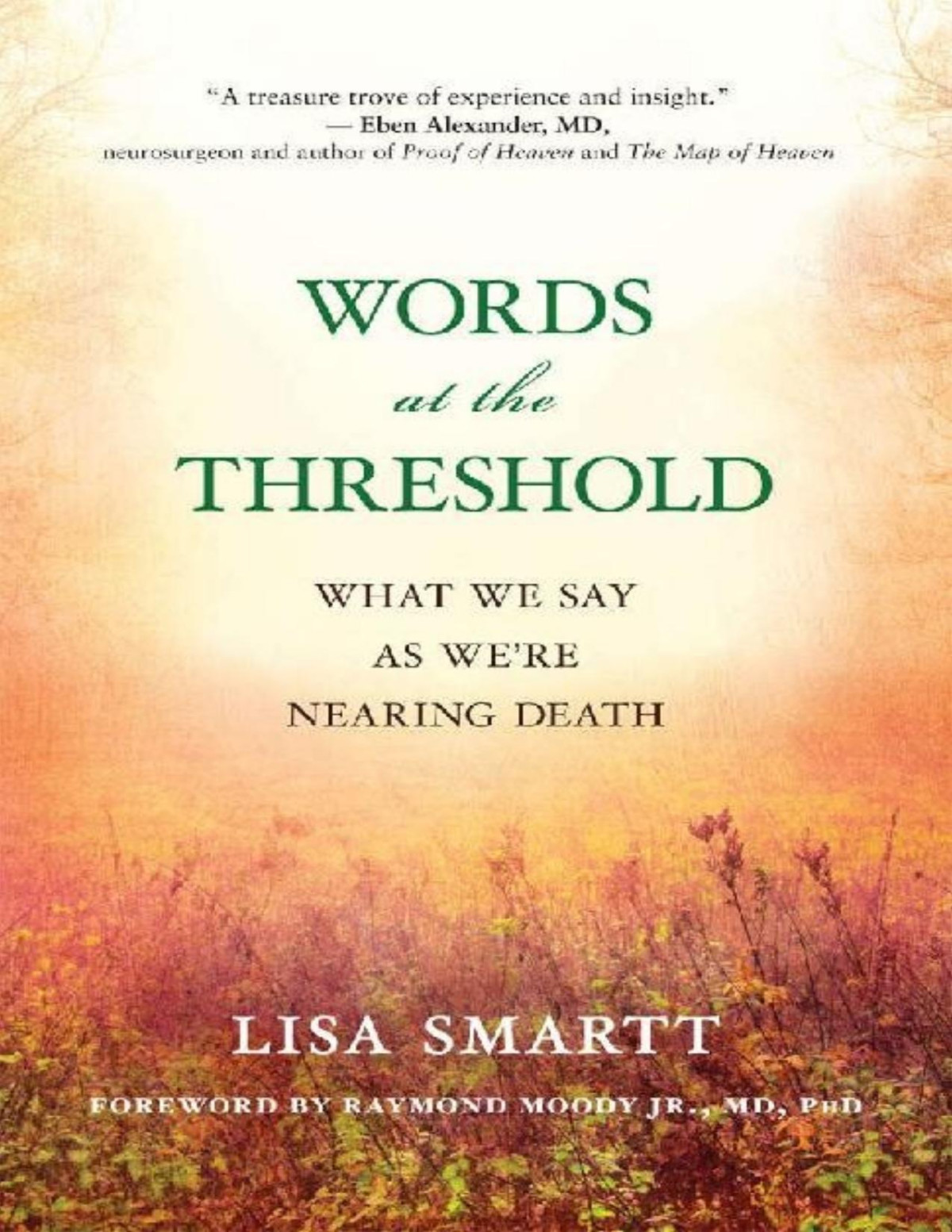 Words At The Threshold What We Say As Were Nearing Death Pdfdrivecom Lisa Smartt