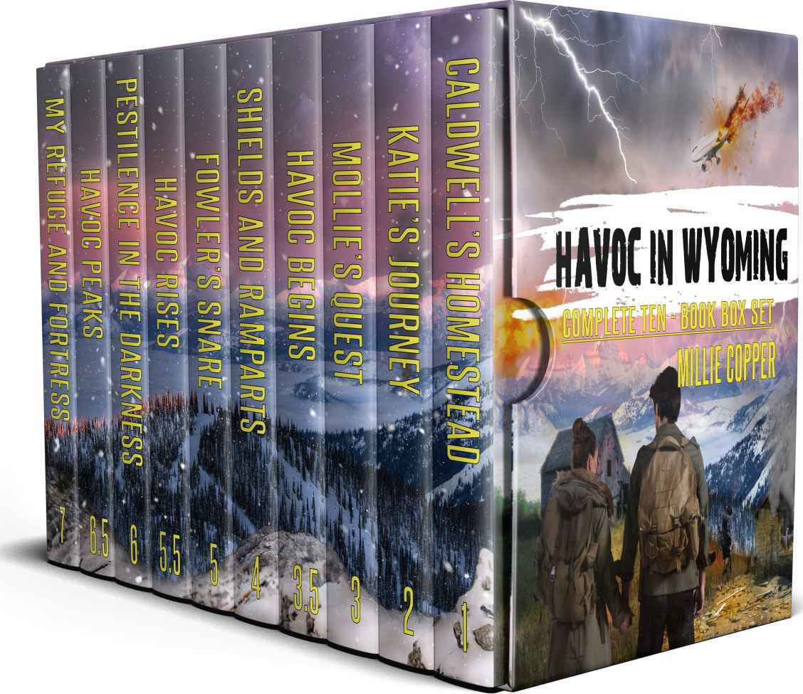 The Complete Havoc In Wyoming Series A Tenbook Box Set Americas New Apocalypse Millie Copper