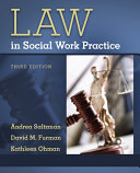 Law In Social Work Practice Andrea Saltzman