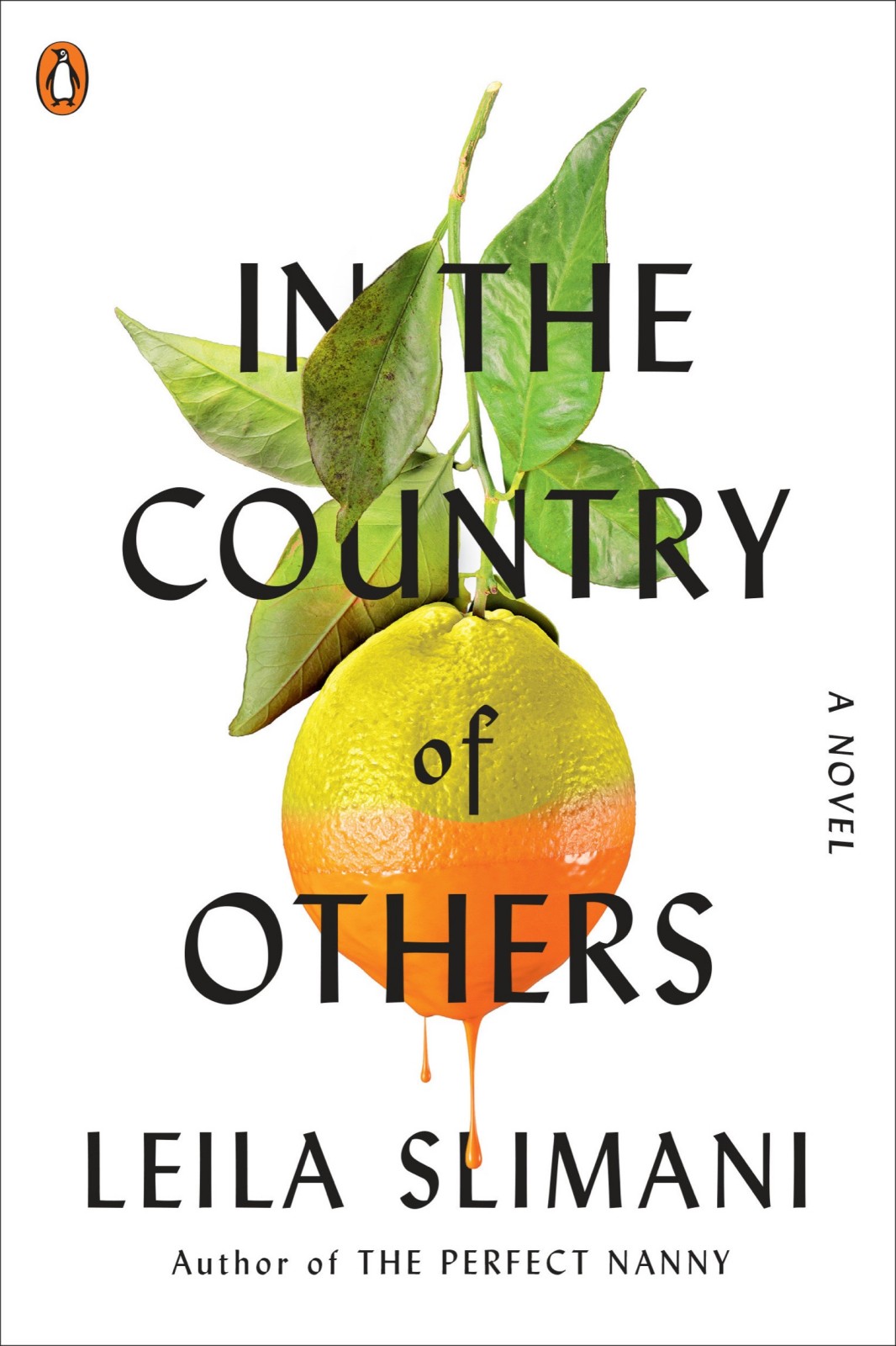 In The Country Of Others A Novel Leila Slimani Sam Taylor