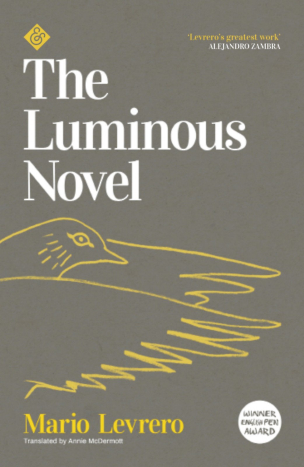 The Luminous Novel Mario Levrero Annie Mcdermott Translation
