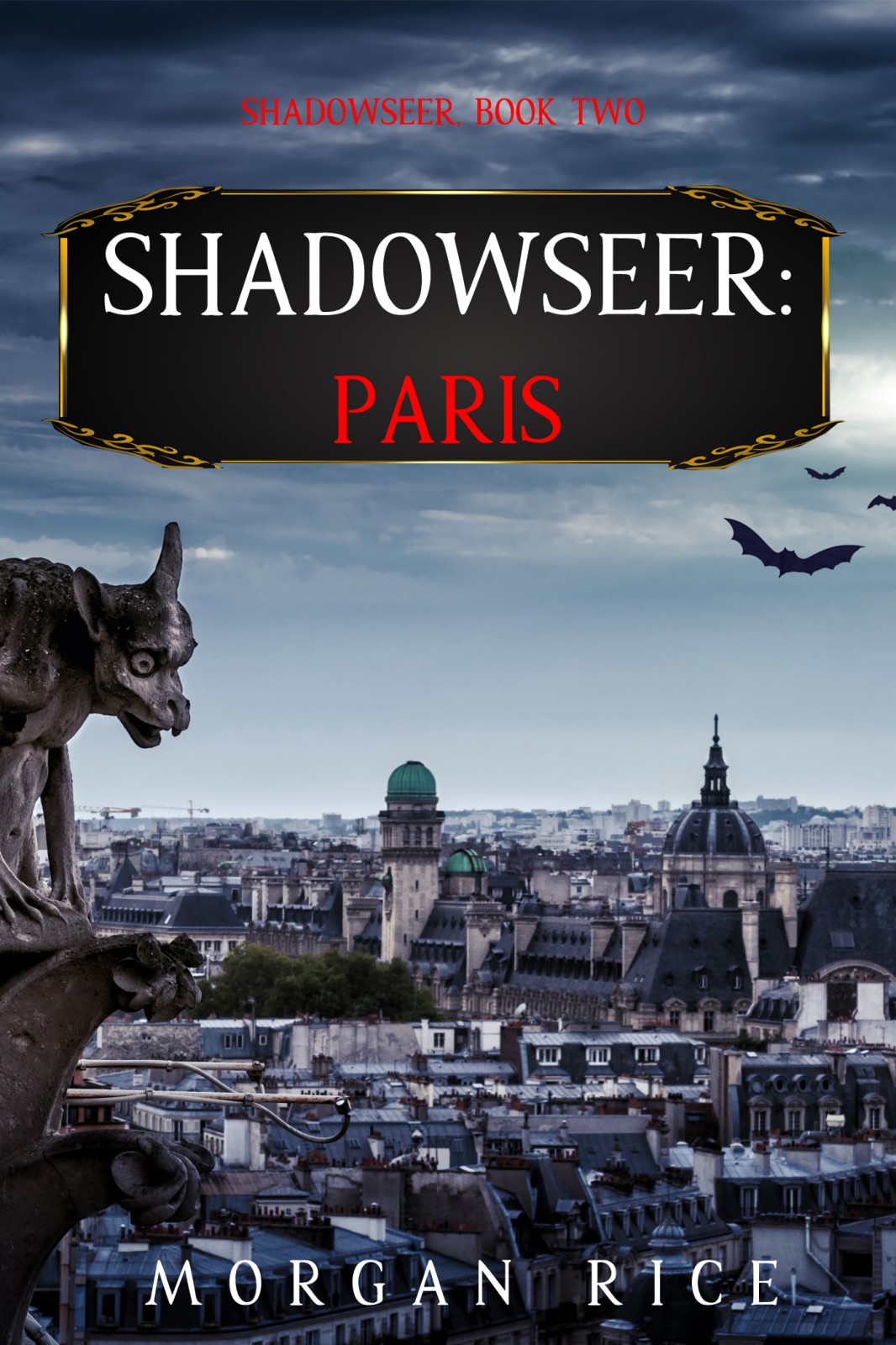 Shadowseer Paris Morgan Rice