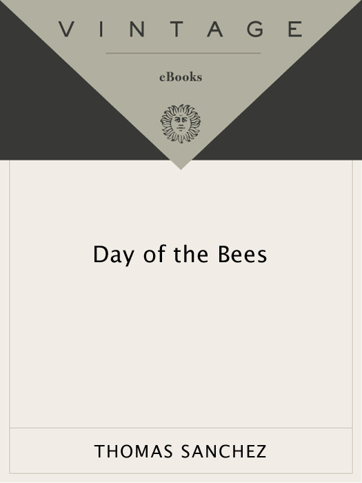The Day Of The Bees Thomas Sanchez