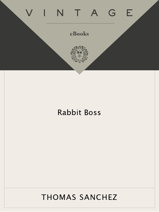 Rabbit Boss Thomas Sanchez