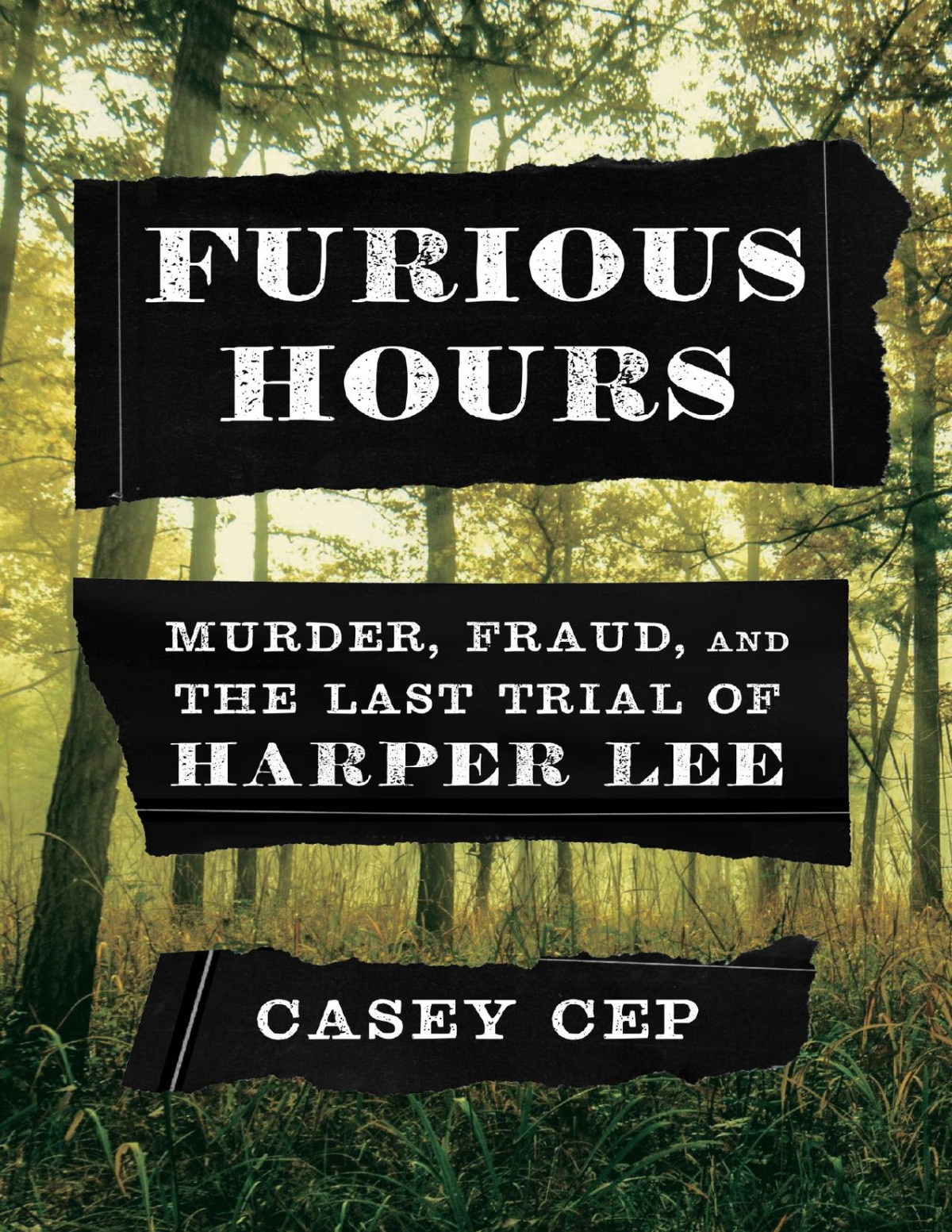 Furious Hours Casey Cep