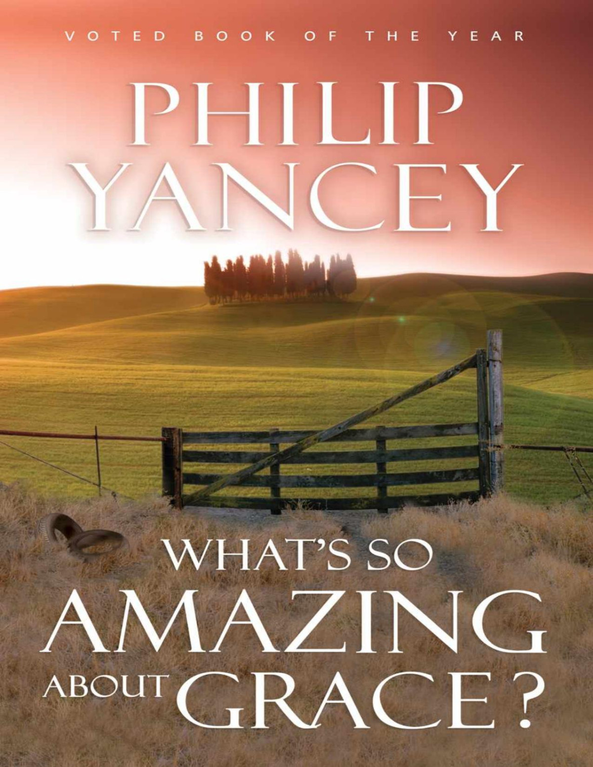 Whats So Amazing About Grace Philip Yancey