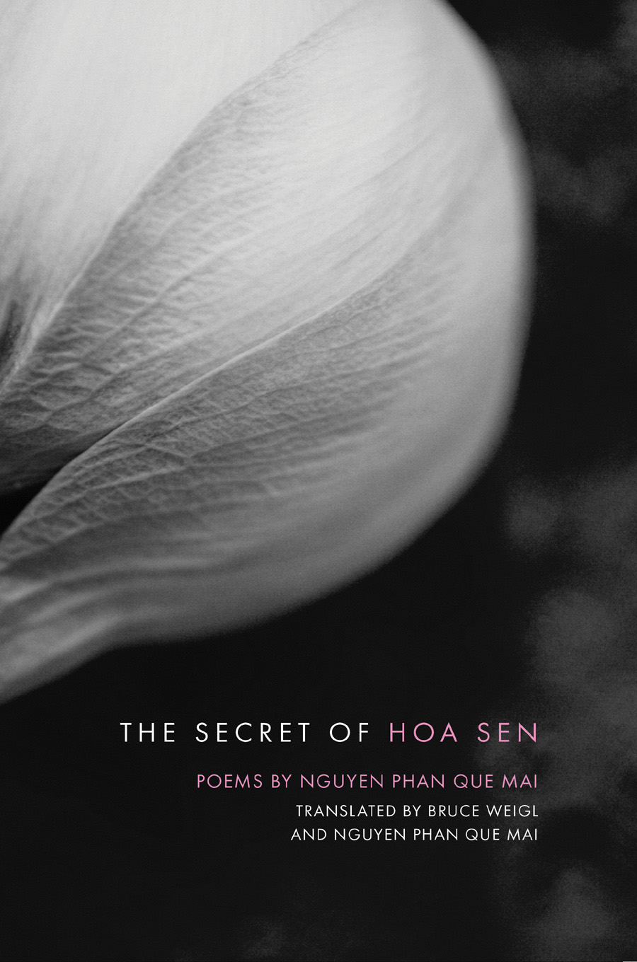 The Secret Of Hoa Sen Nguyen Phan Que Mai Bruce Weigl