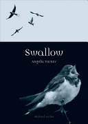 Swallow Animal Turner Angela
