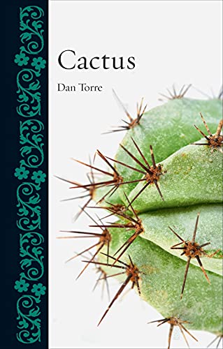 Cactus Dan Torre