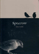 Sparrow Animal Todd Kim